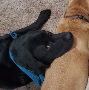 Meet your Posher, James